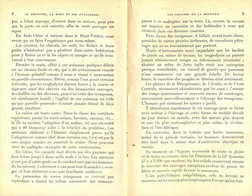 Assan Dina, Destine 1917