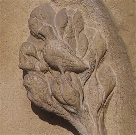 Notre Dame L'oiseau reste sur l'arbre