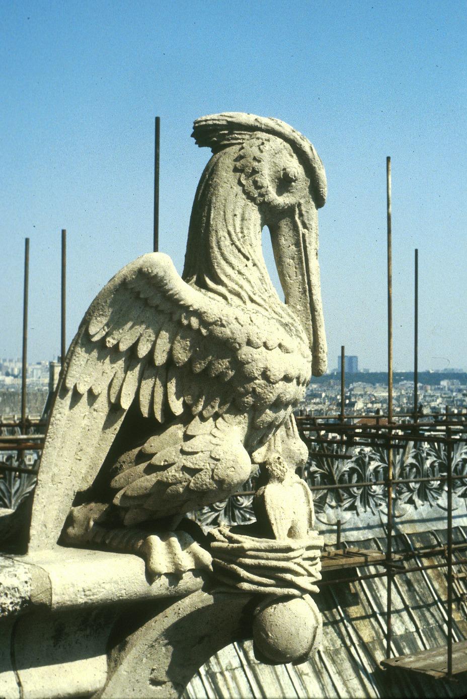 paris-gargouille-pelican-femelle.jpg (235007 octets)